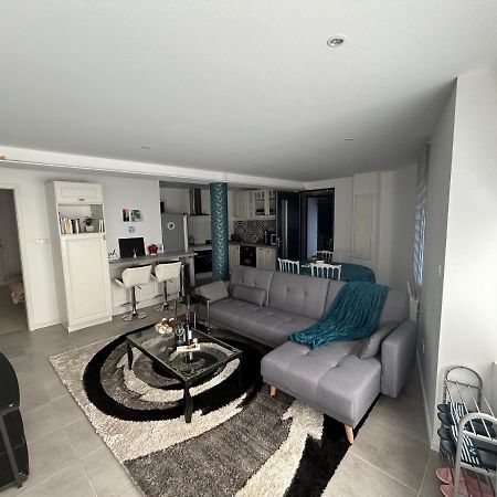 Gite Paon Kintzheim Extérieur photo