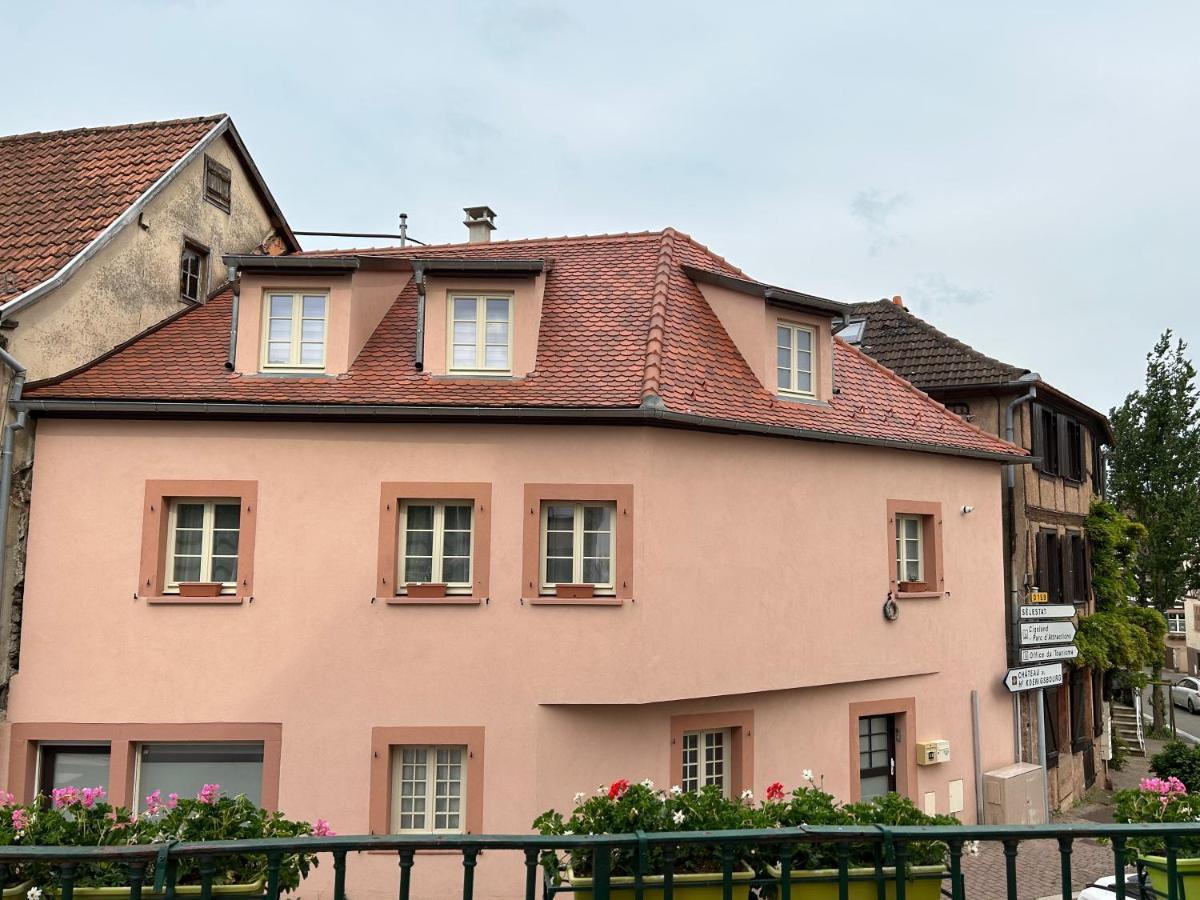 Gite Paon Kintzheim Extérieur photo